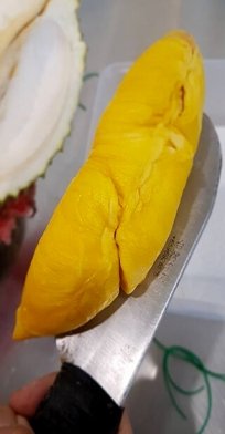 Durian in Singapore